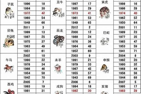 1987年属相|1987年属什么生肖 1987年属什么生肖属兔